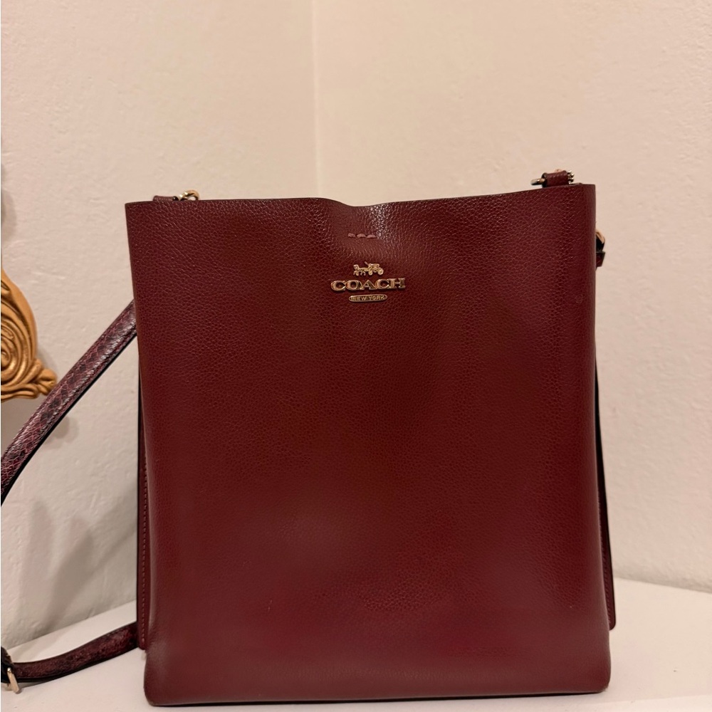 Coach Deep Red Leather Crossbody Bag